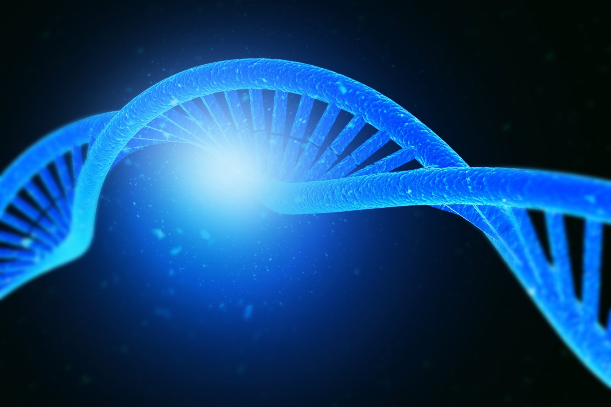 Dentro da nova era dos suplementos de longevidade