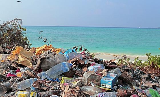 Aconteições sobre o tratado de poluição plástica, mas os países querem 'permanecer na mesa': Chefe do UNEP