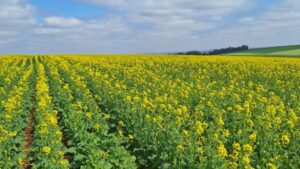 Lucro líquido da 3tentos dobra no segundo trimestre