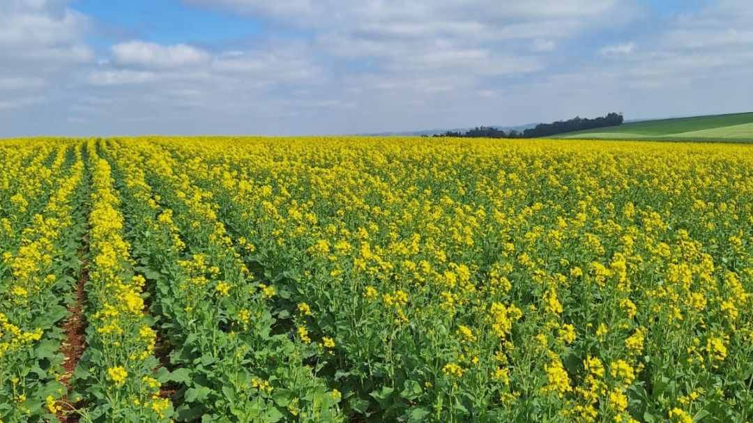 Lucro líquido da 3tentos dobra no segundo trimestre