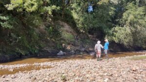 Pesquisadores identificam rochas ricas em terras raras em Caçapava do Sul