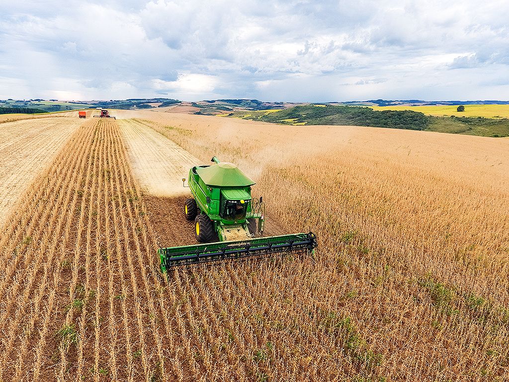 Santa Catarina tem safra recorde de grãos com alta de 20,7%