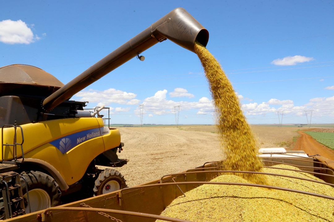 Produção brasileira de grãos deve ser 14,2% maior