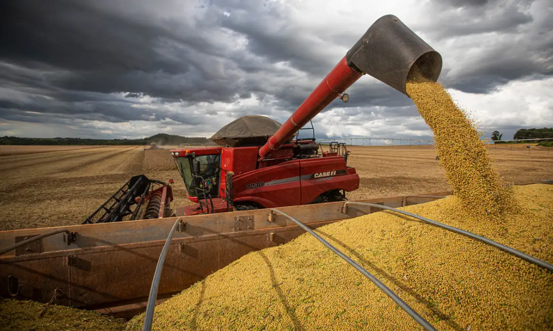 PIB da cadeia da soja e do biodiesel deve ter expansão em 2025