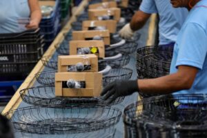 Santa Catarina lidera crescimento da atividade econômica no país