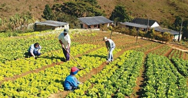 CMN facilita crédito rural para comunidades tradicionais