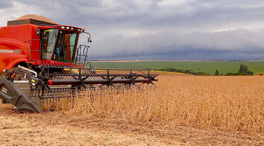 Primeiro prognóstico para a safra agrícola de 2026 aponta queda de 3,7%