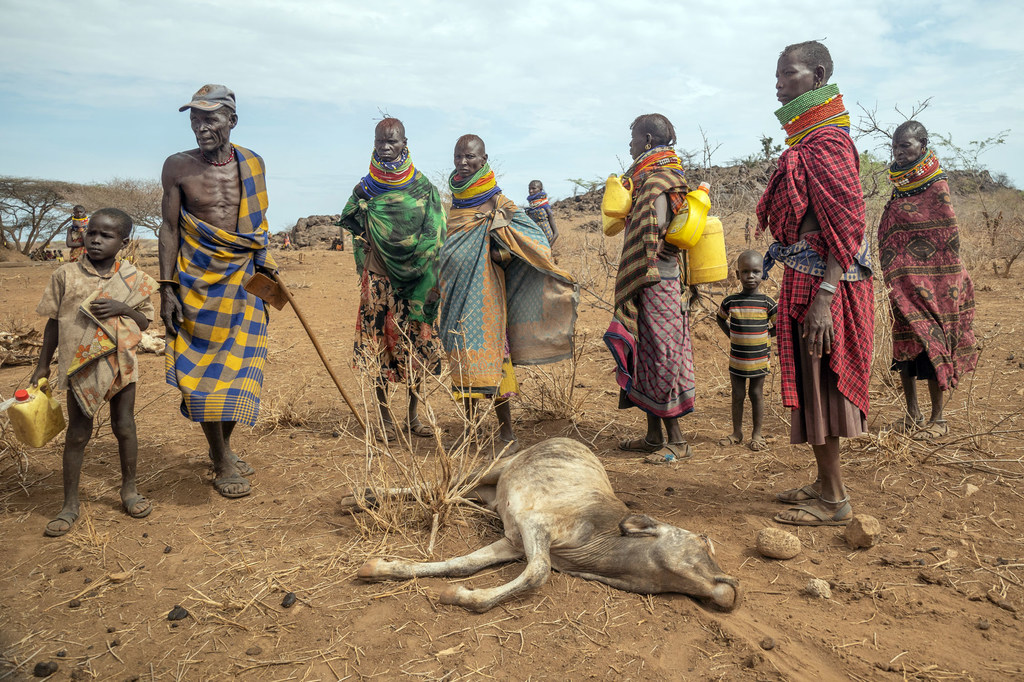 As pessoas que vivem em Turkana, no norte do Quénia, enfrentam o impacto da seca.