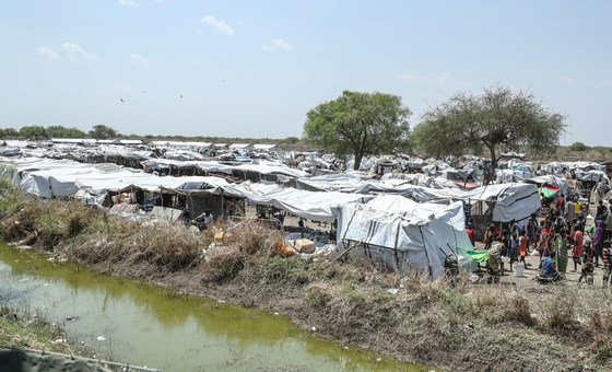 Sudão do Sul: ONU e especialistas em direitos humanos alertam contra o risco de violência em massa em Jonglei