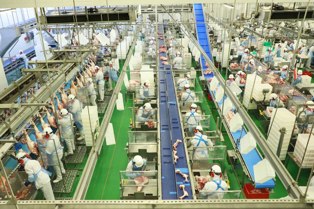 Acordo Mercosul-UE trará ganhos em quase todos os setores do agronegócio