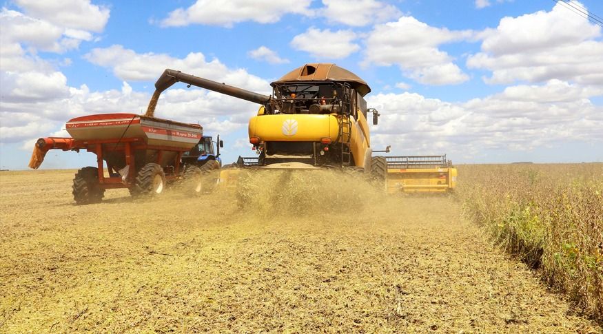 Produção da soja tem previsão de novo recorde