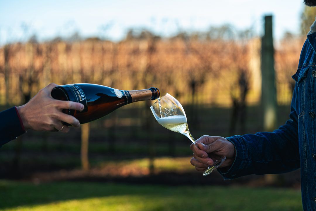 Vinícola Aurora atinge faturamento recorde de R$ 874 milhões