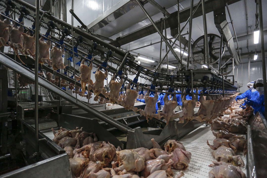 Brasil regulamentará salvaguardas em acordos comerciais