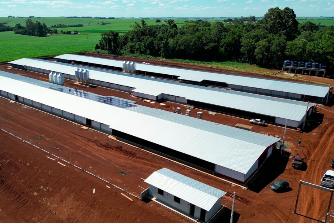 Paraná e MBRF anunciam R$ 375 milhões para fortalecer produção de alimentos