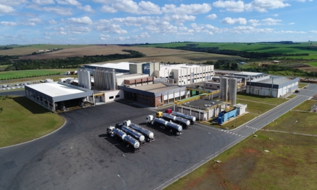 Frísia registra encerra 2025 com quase R$ 6 bilhões de receita