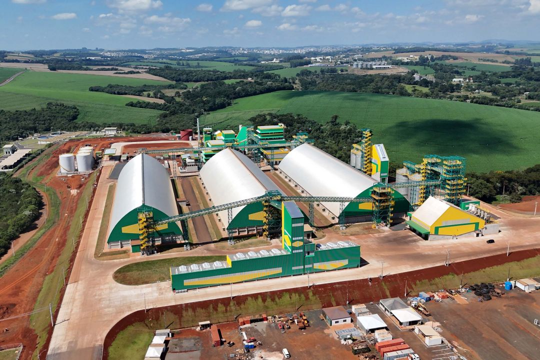 Cooperativa Tradição vai processar 3 mil toneladas de soja por dia no Paraná